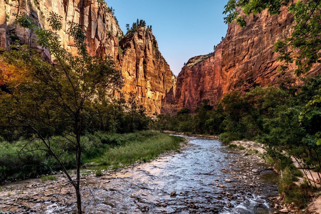 "Virgin River Zion National Park" stock image