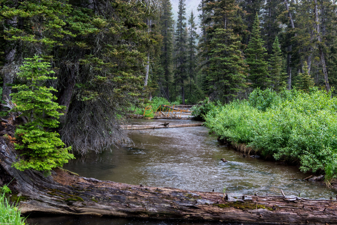 "Stream in Glacier National Park" stock image