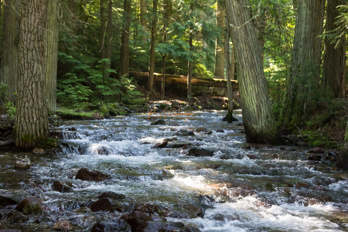 "Glacier National Park" stock image