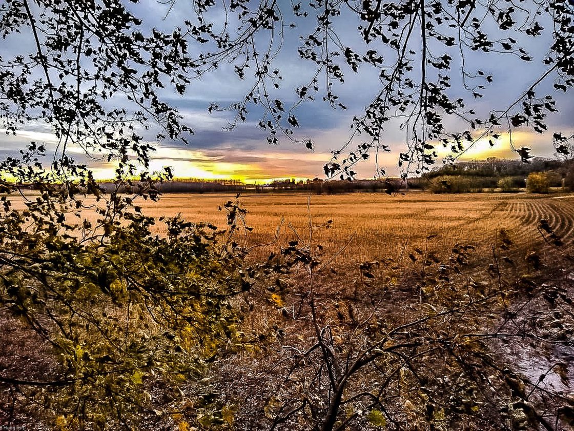 "View from a tree stand" stock image