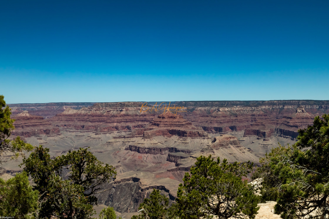 "Grand Canyon South Rim" stock image