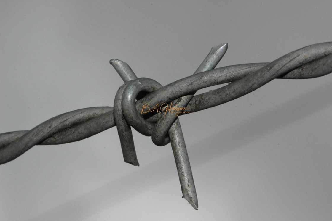 "Barbed Wire Close Up" stock image