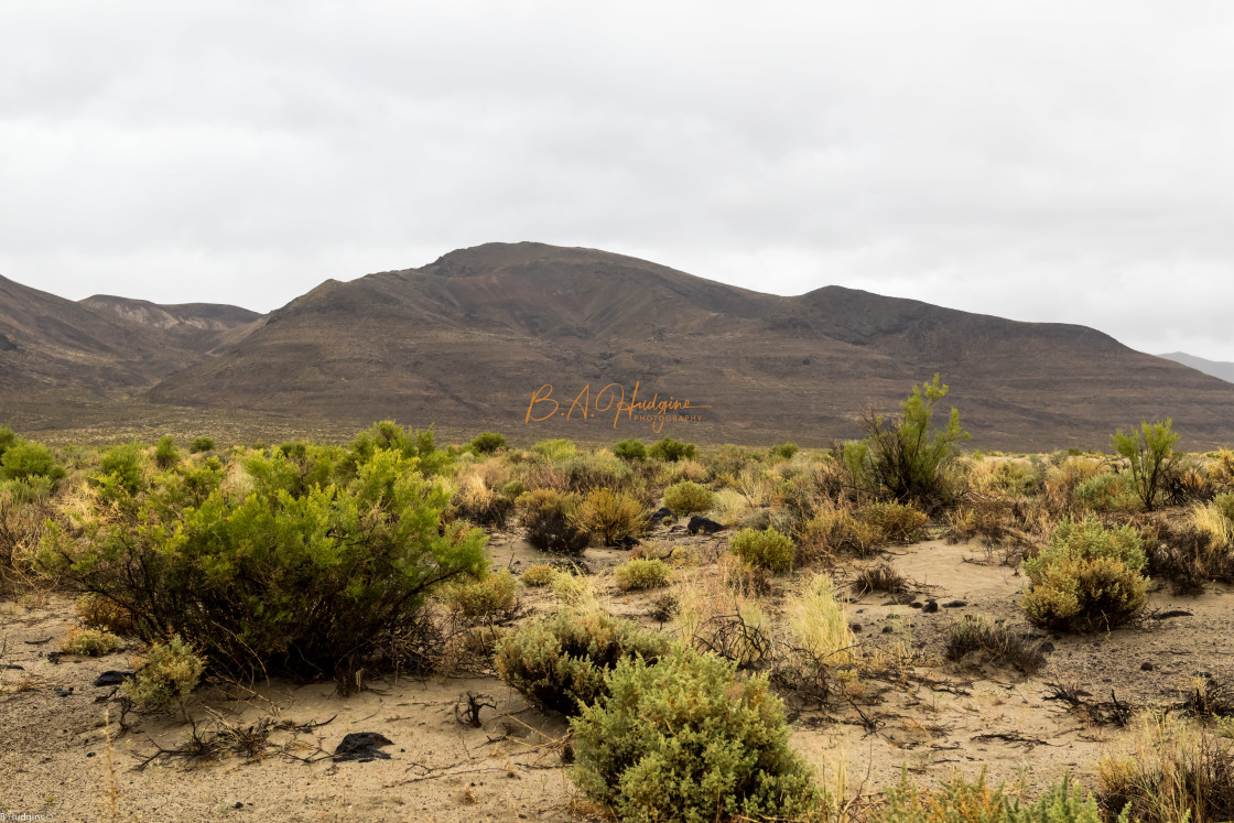 "Rt 50 Central Nevada" stock image