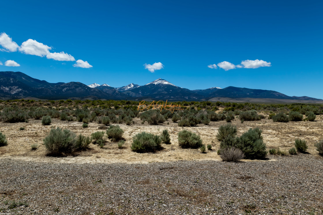 "Great Basin National Park" stock image