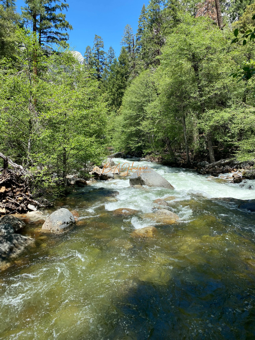 "Yosemite Park River" stock image