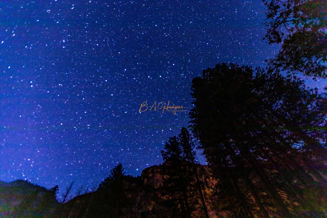 "Night in the Meadow" stock image