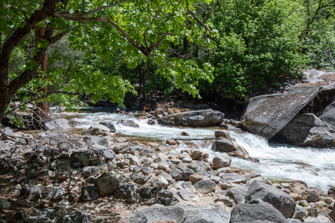 "Spring Runoff" stock image