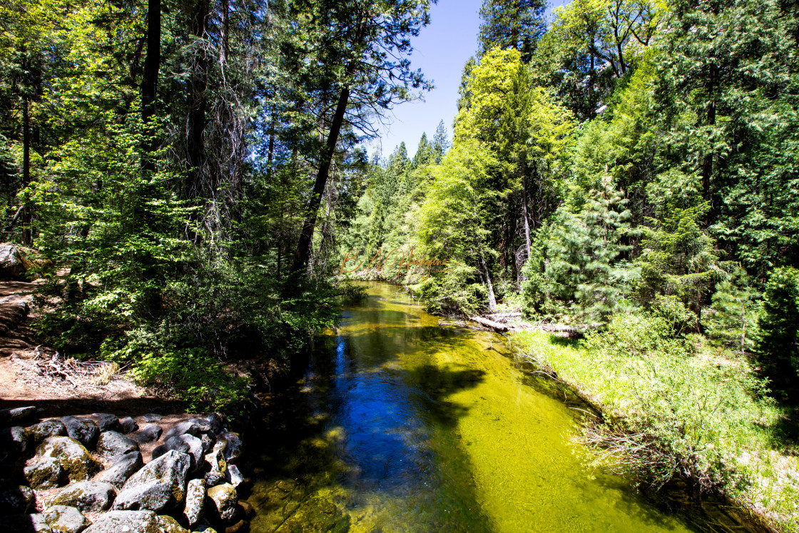 "Merced River" stock image