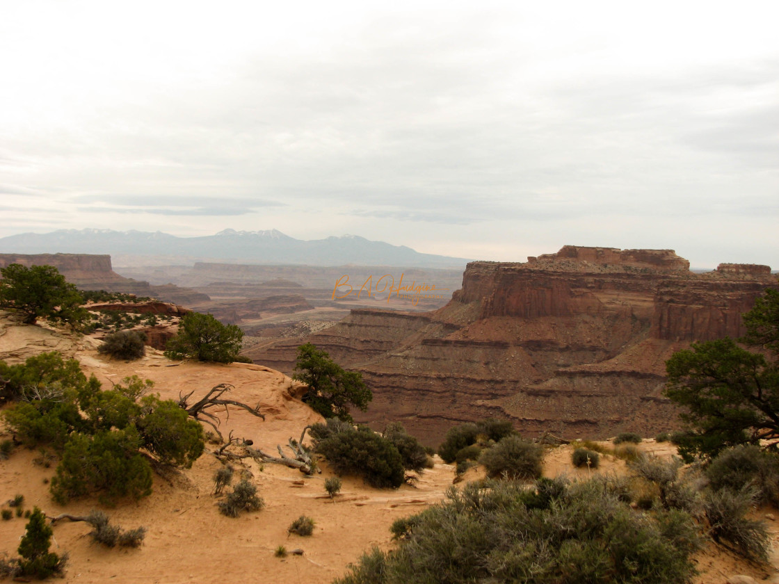 "Canyon View" stock image