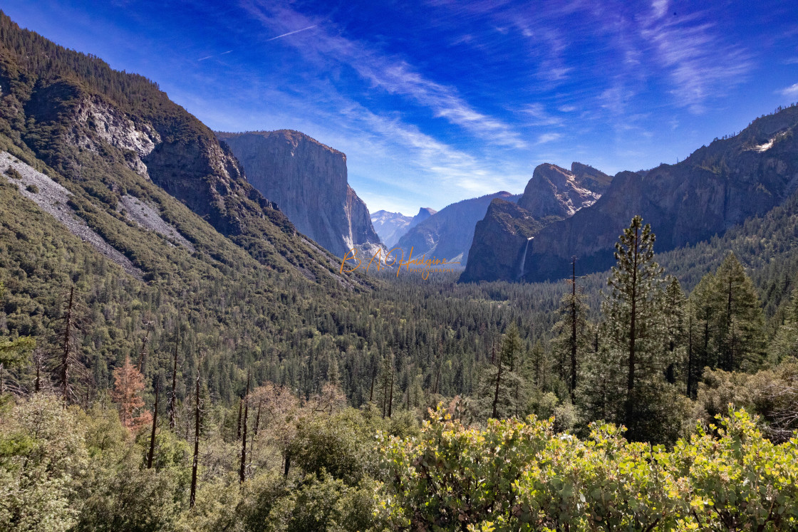 "Yosemite Valley" stock image