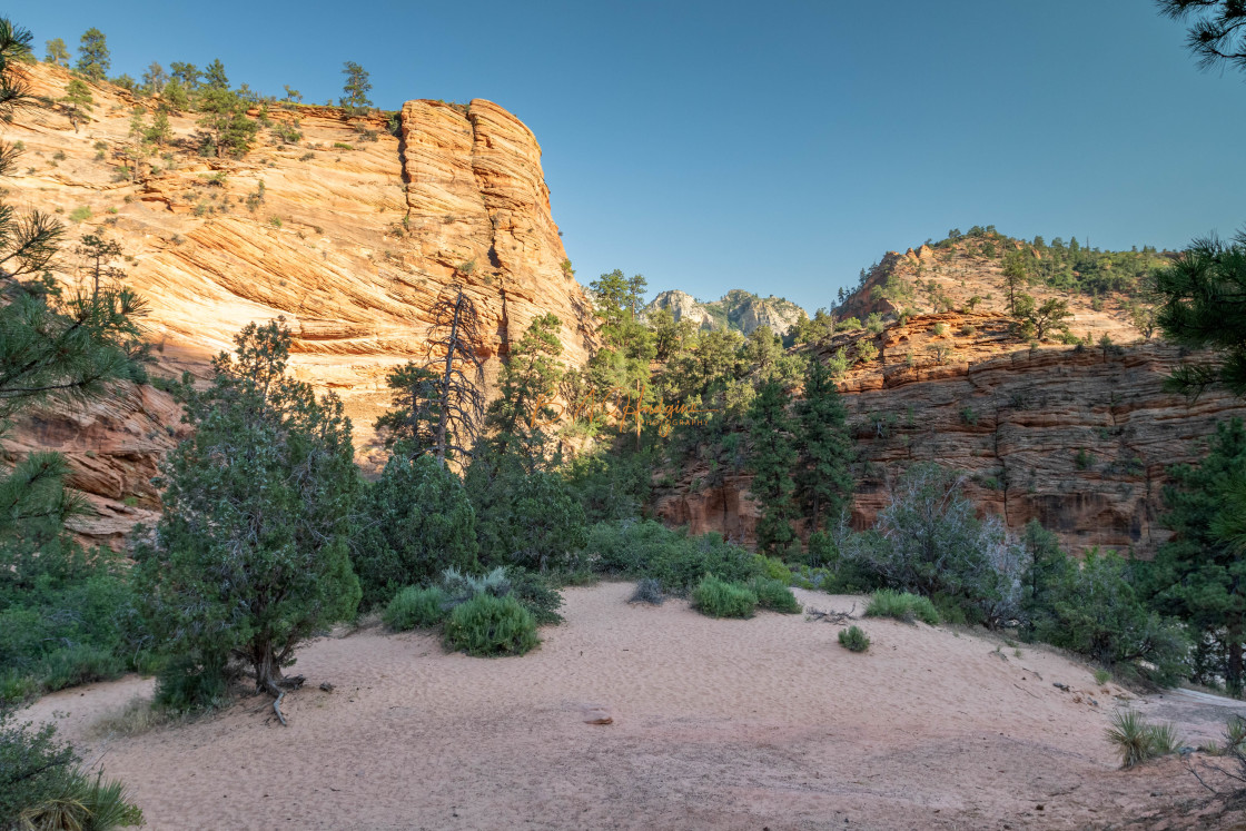 "Late afternoon in Zion" stock image