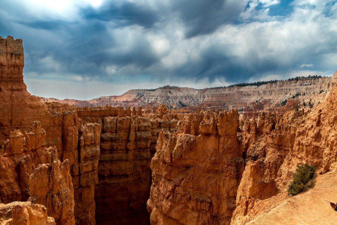 "Cloudy Day at Bryce" stock image