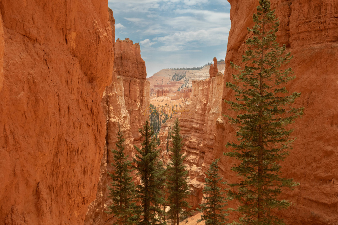 "Walk-way to the bottom" stock image