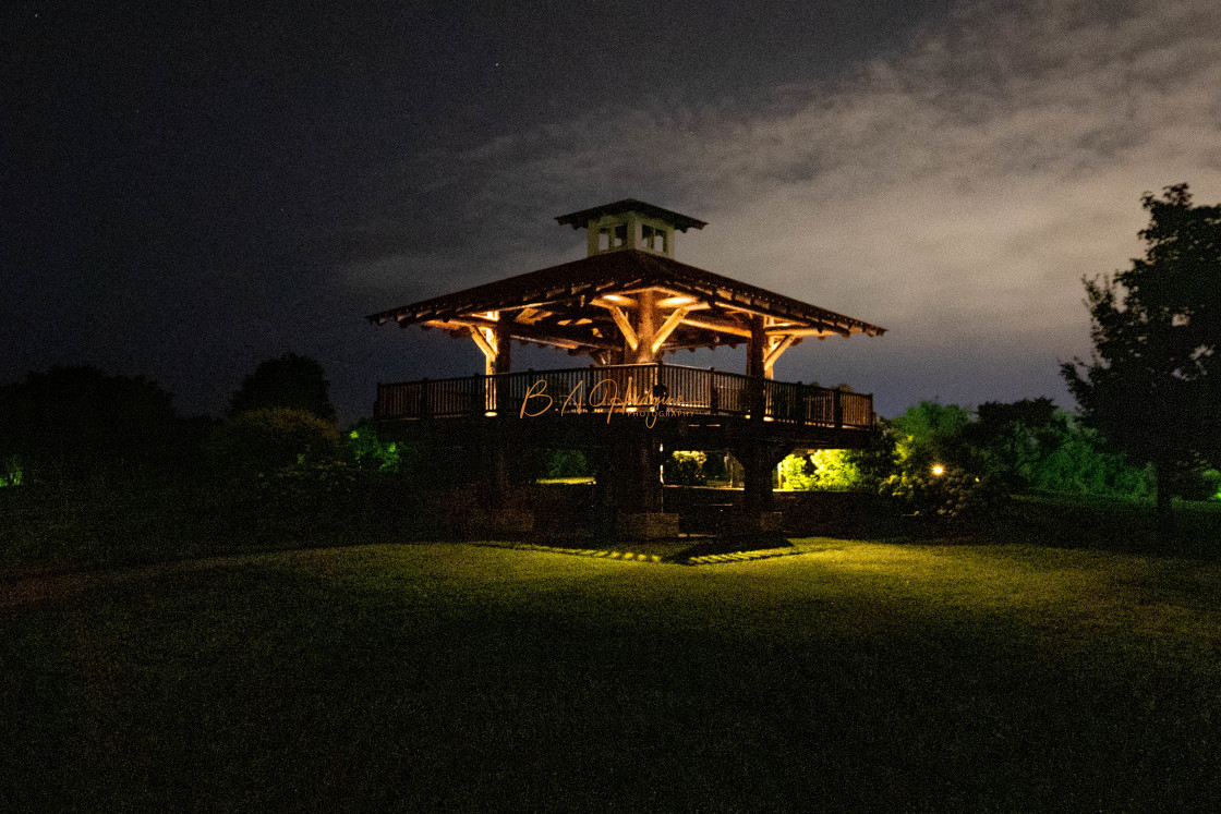 "Tree House at Night" stock image