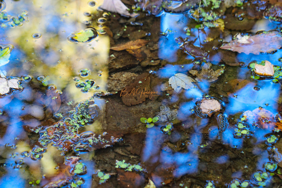 "Autumn Reflections" stock image