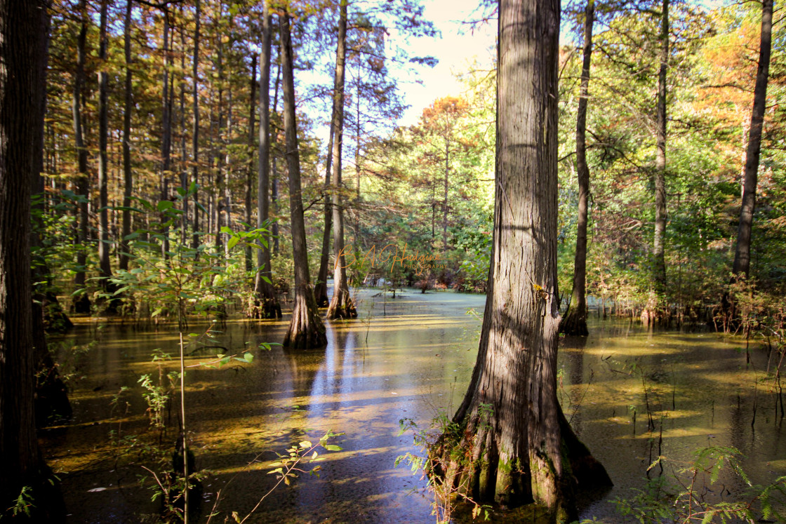 "Lazy Cache River" stock image