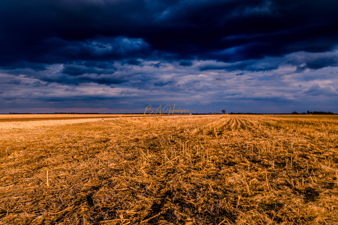 "Early Spring Evening on the Prairie" stock image