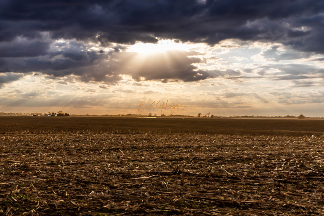 "Winter Afternoon" stock image