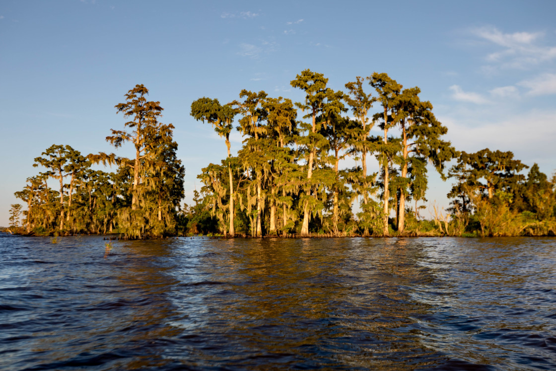 "Hammock on Lake Maurepas" stock image