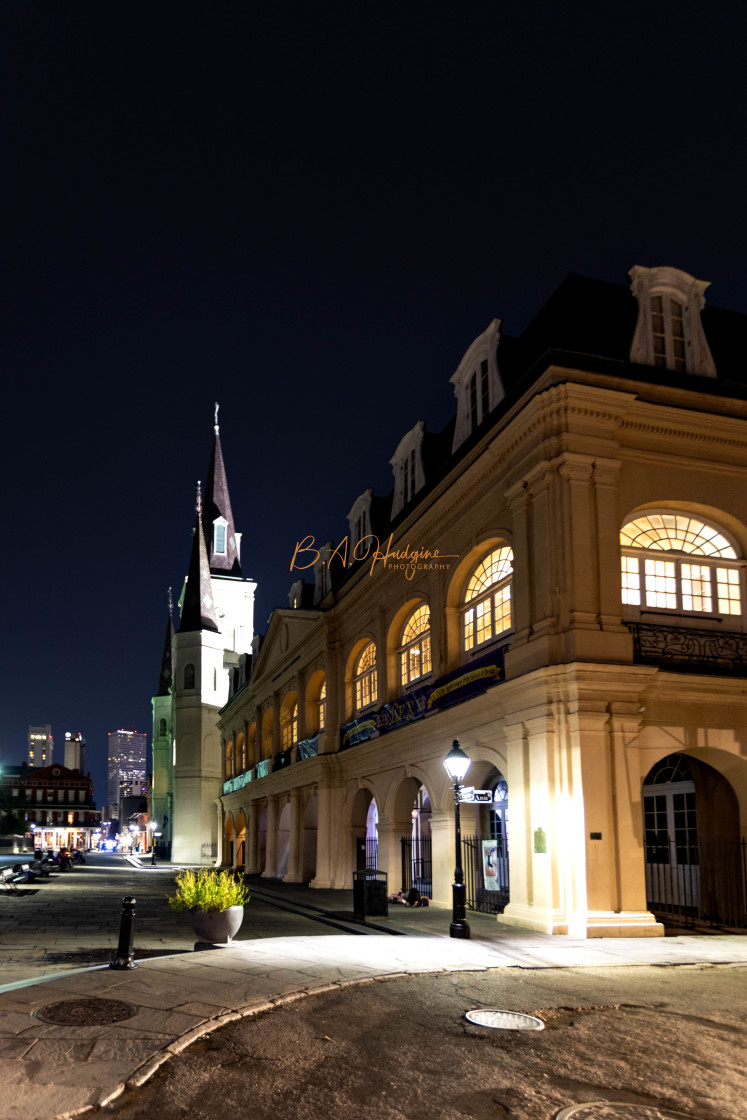 "St. Louis Cathedral night profile" stock image