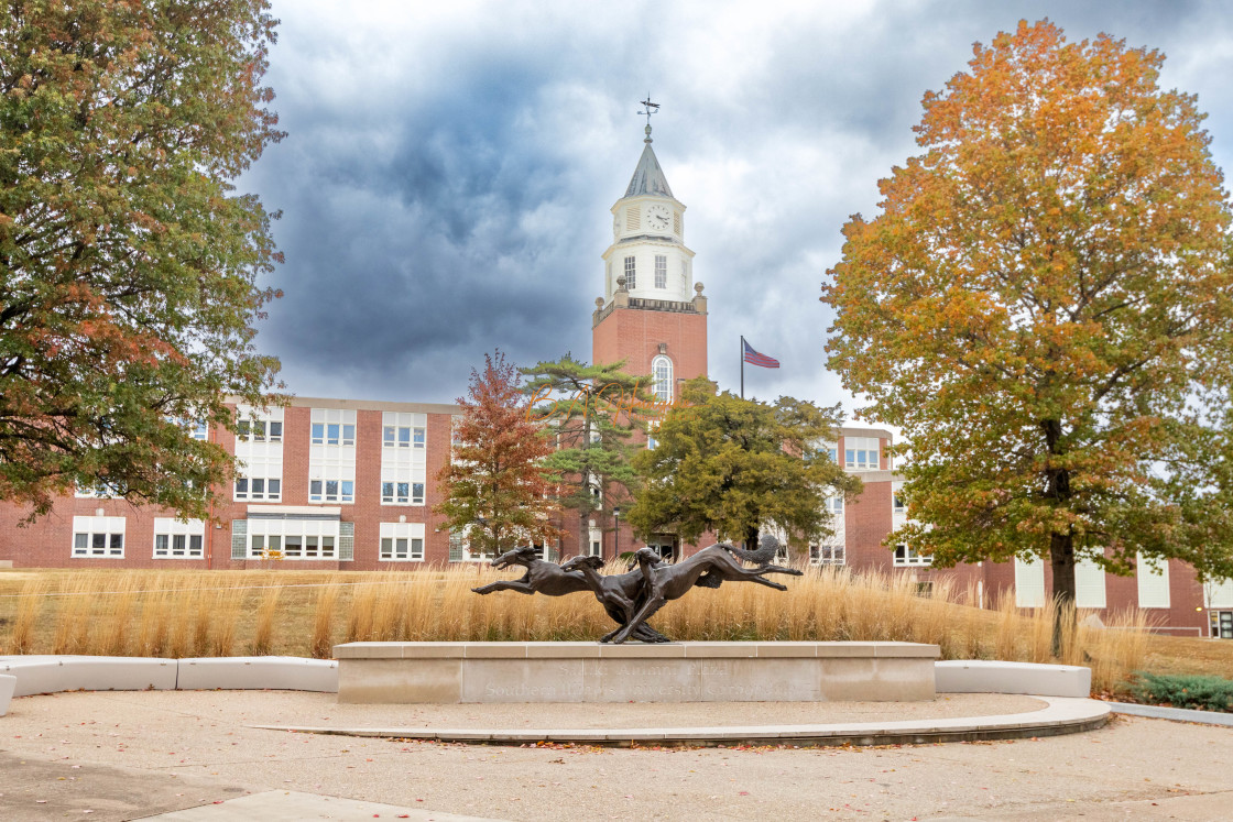 "Running Salukis" stock image