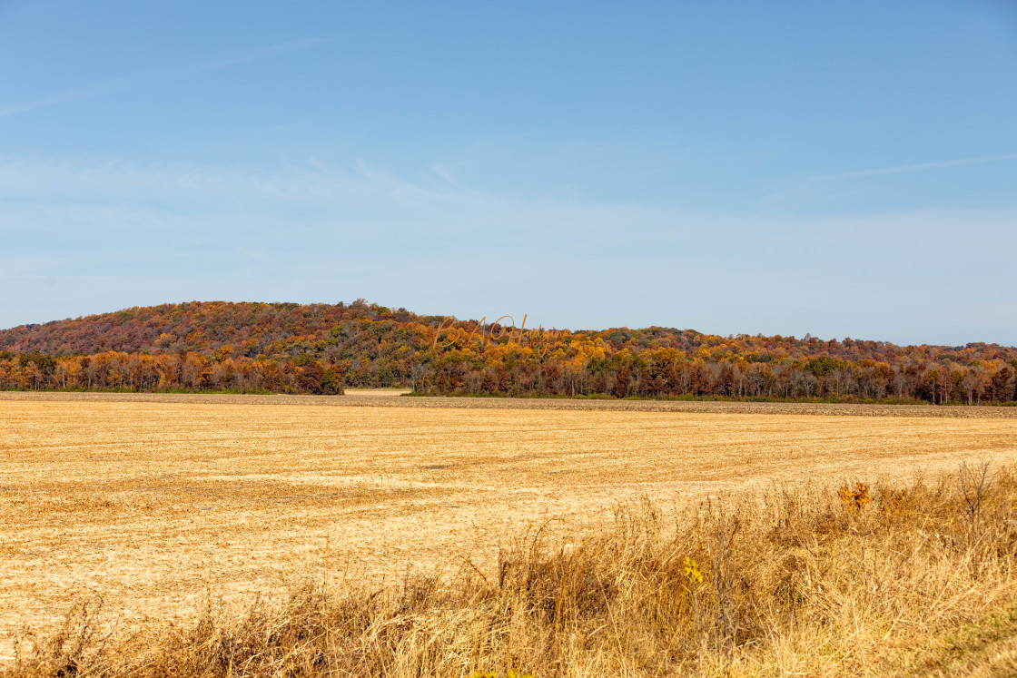 "Mississippi River Bottoms Harvest" stock image