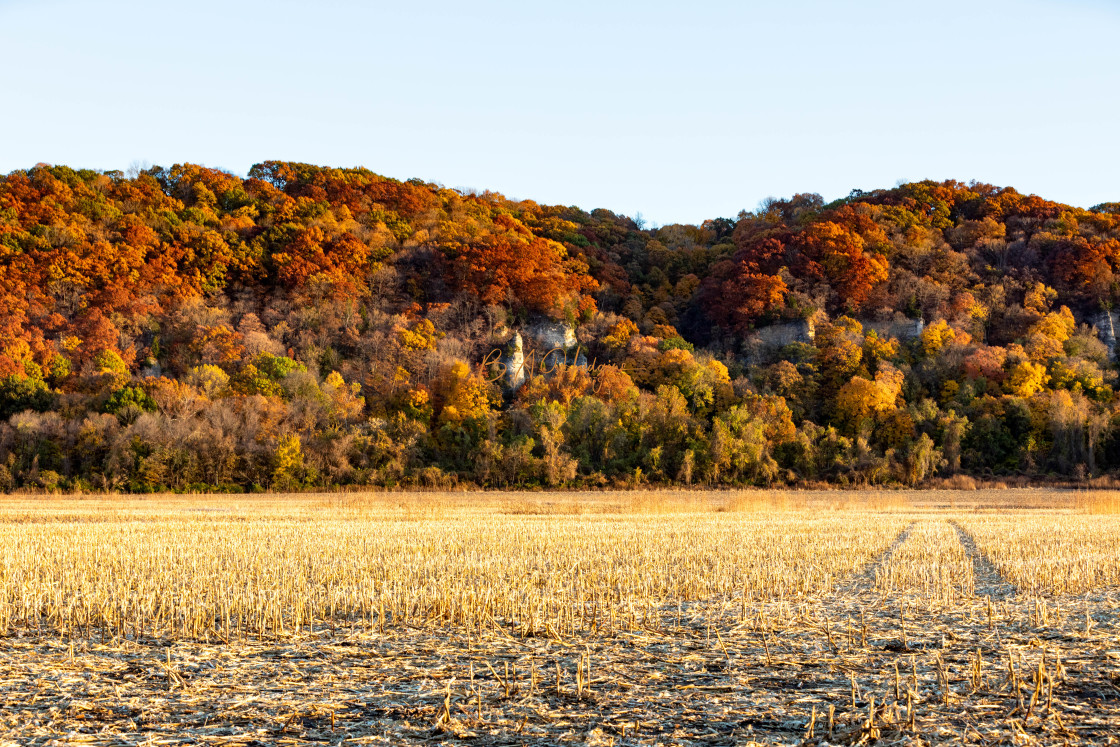 "Outcropping on Bluffs Road" stock image