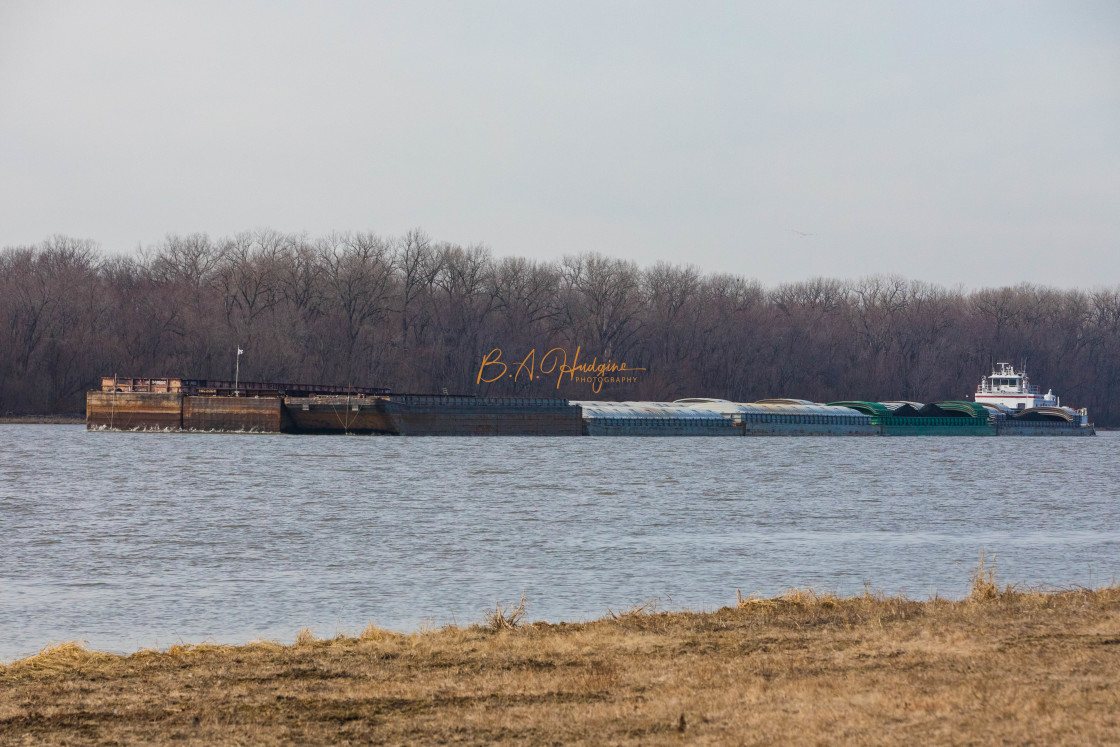 "A tow of grain" stock image