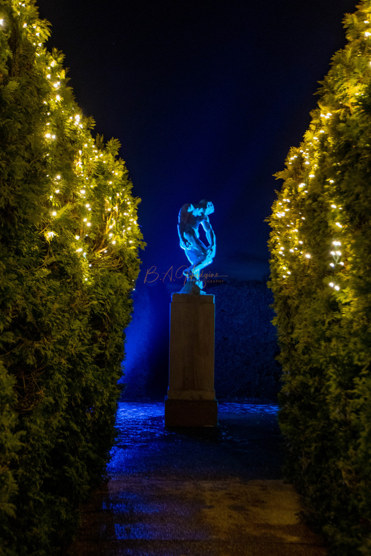 "Adam at Night amongst the vines" by Budd Hudgins - $15.91 "Adam at Night amongst the vines" stock image