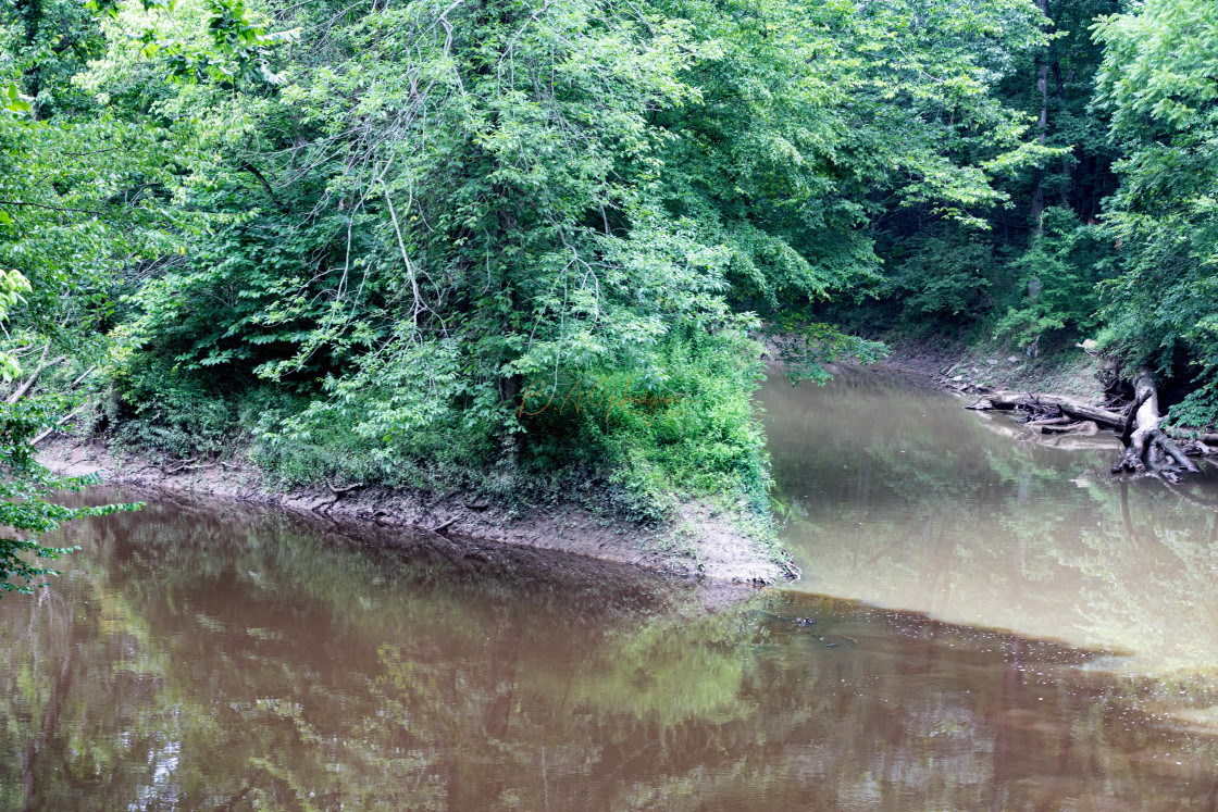 "Todd Fink Heron Pond" by Budd Hudgins - $15.01 "Todd Fink Heron Pond" stock image