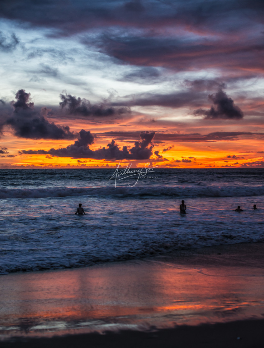 "Sunset Swim" stock image