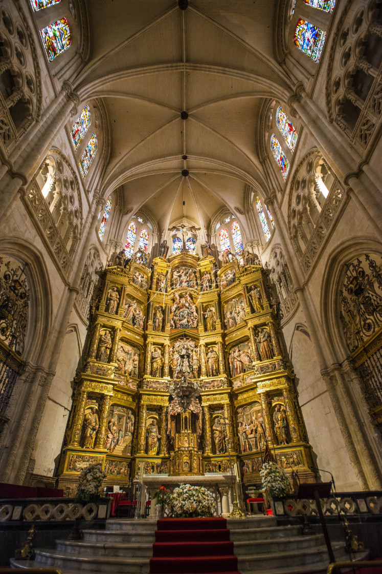 "Burgos Cathedral" stock image