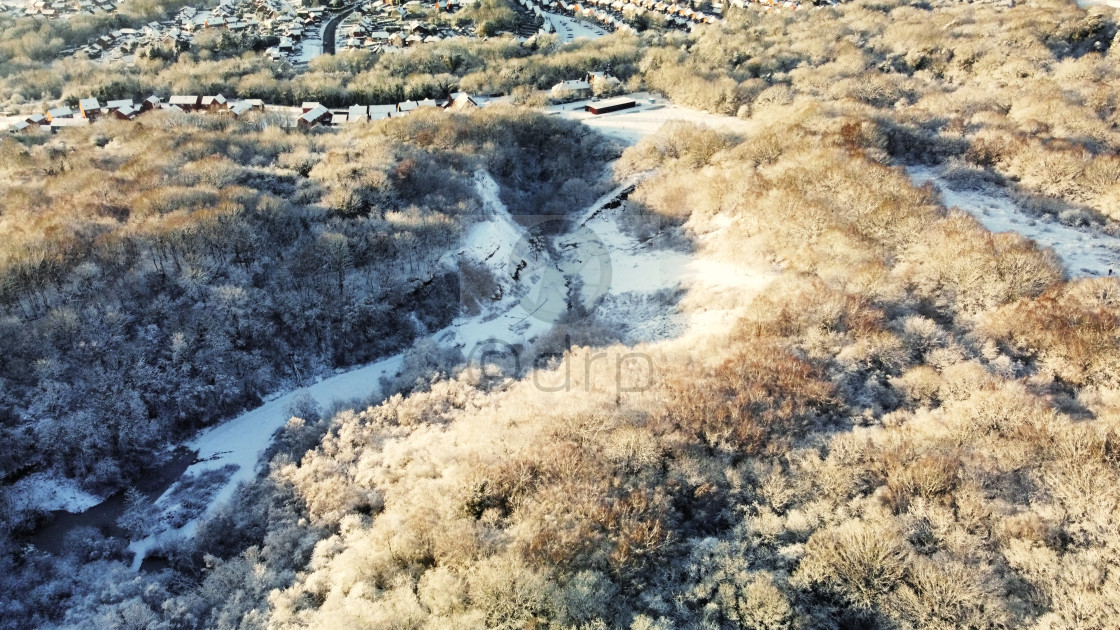 "Saltwells Nature Reserve in Winter" by Davidrobertphotography - £2.50 "Saltwells Nature Reserve in Winter" stock image