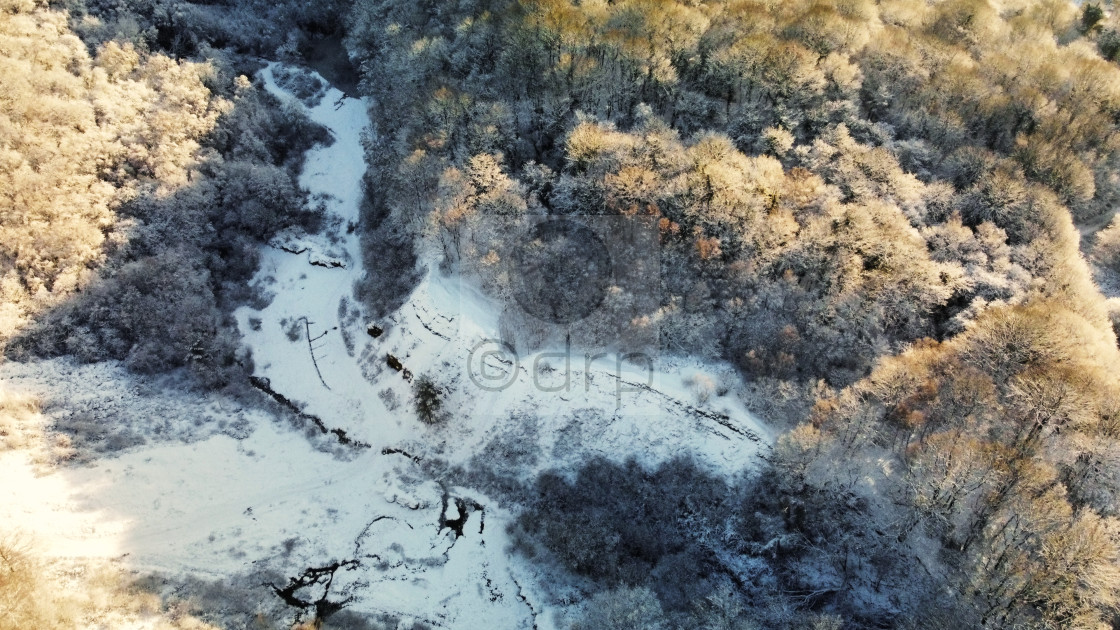 "Saltwells Nature Reserve in Winter" by Davidrobertphotography - £2.50 "Saltwells Nature Reserve in Winter" stock image