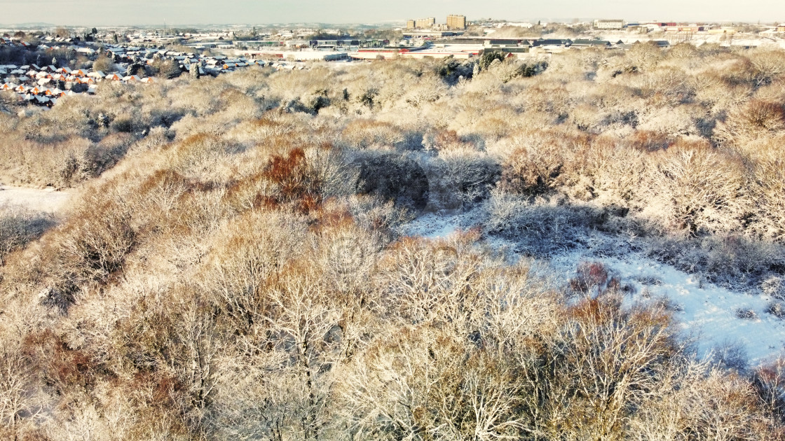 "Saltwells Nature Reserve in Winter" by Davidrobertphotography - £2.50 "Saltwells Nature Reserve in Winter" stock image