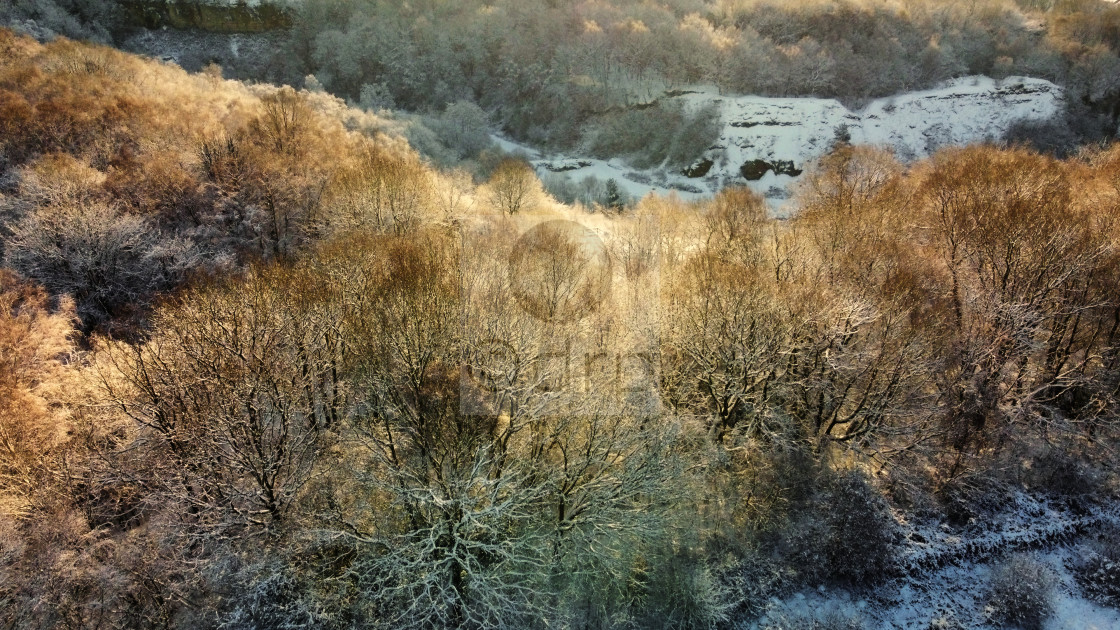 "Saltwells Nature Reserve in Winter" by Davidrobertphotography - £2.50 "Saltwells Nature Reserve in Winter" stock image