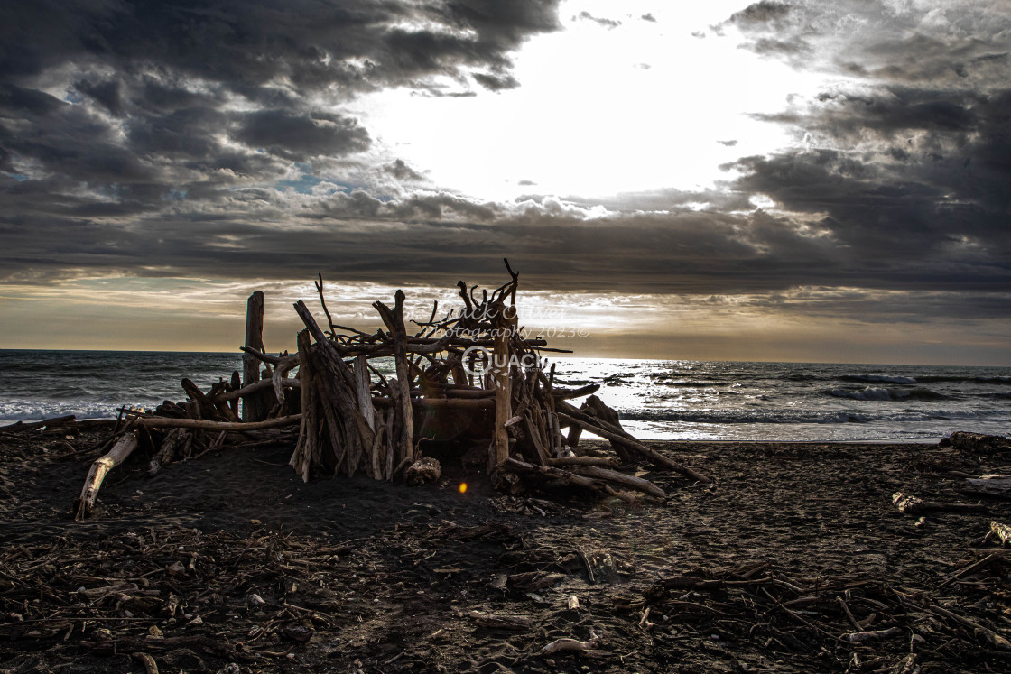 "Driftwood Beach" stock image