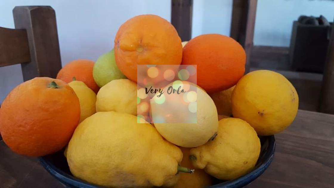 "Citrus Fruits" stock image