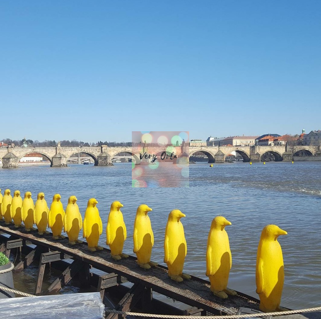 "Penguins in Prague" stock image