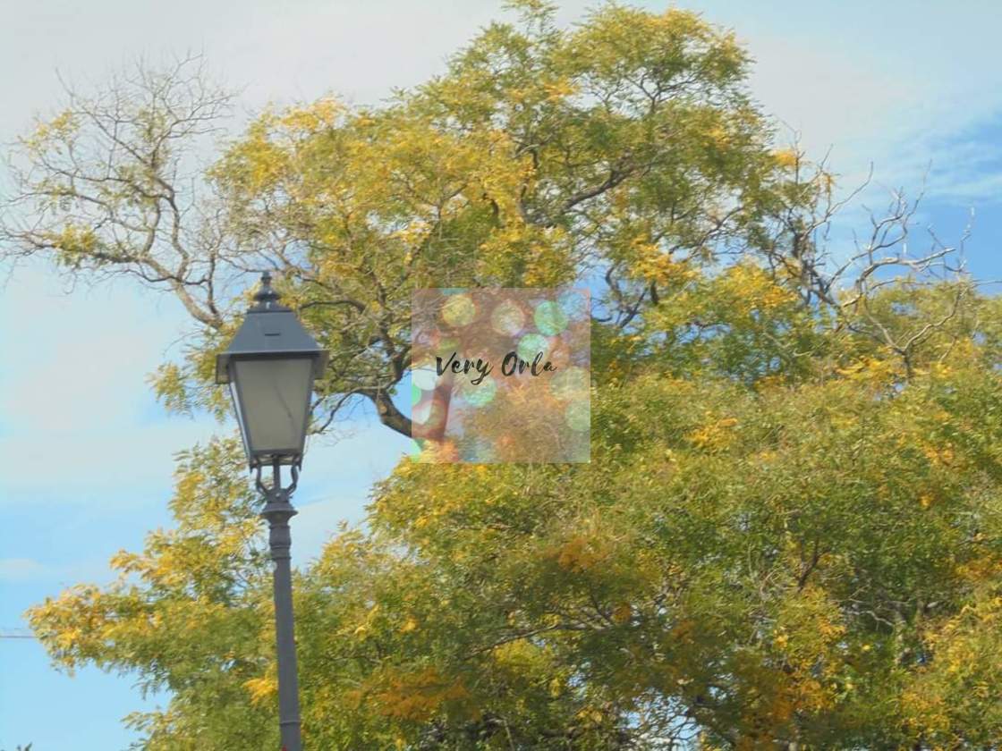 "Autumn in Europe" stock image