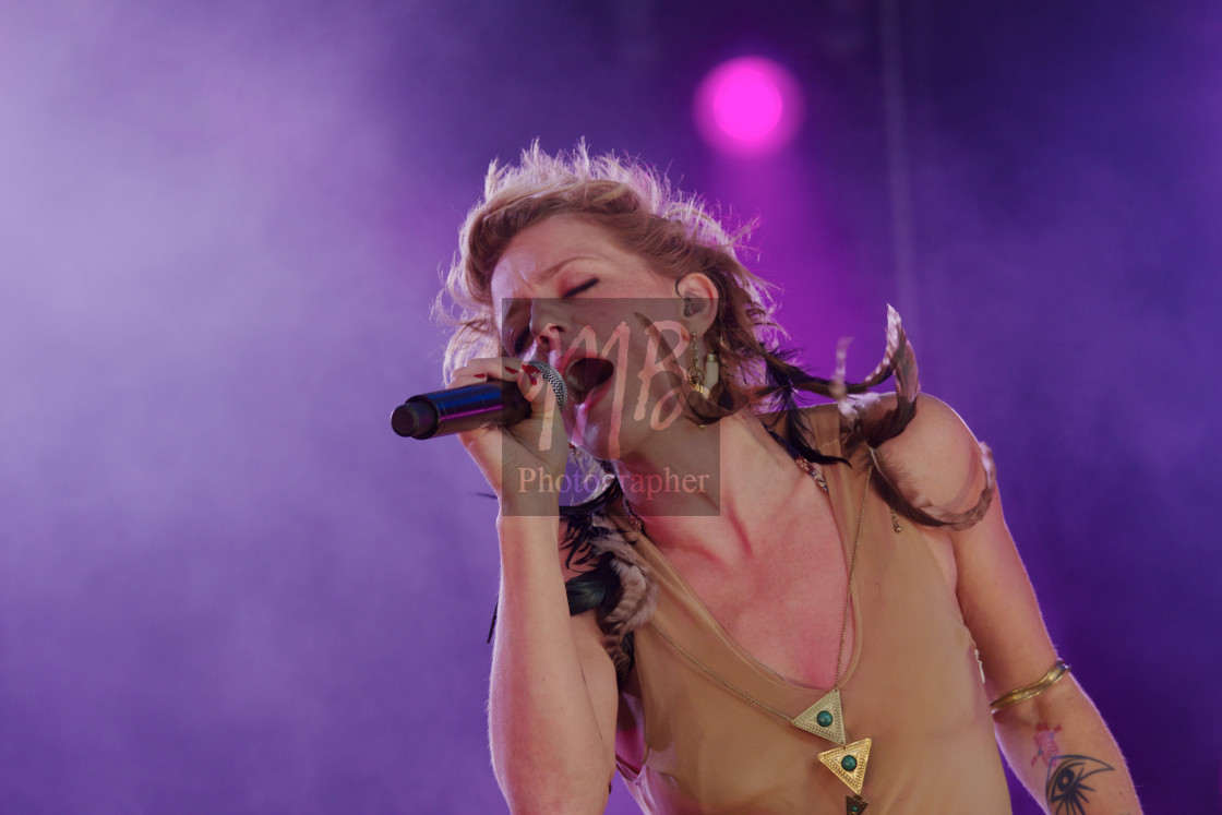 "Bo Bruce @ Cornbury Festival 2013" stock image