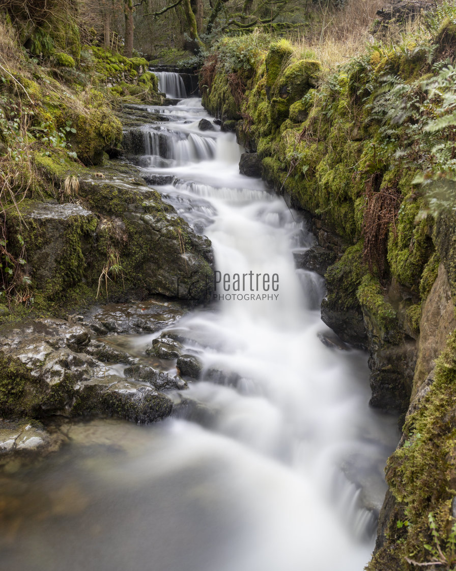 "Lovely fast flowing waterfall following heavy rain in the Yorkshire Dales" stock image