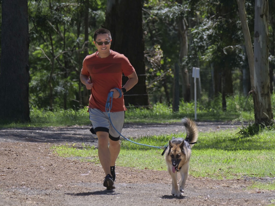 "Sled Dog Racing Qld Expo Day" stock image