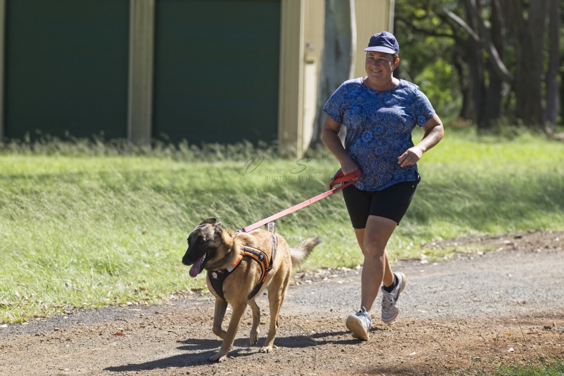 "Sled Dog Racing Qld Expo Day" stock image