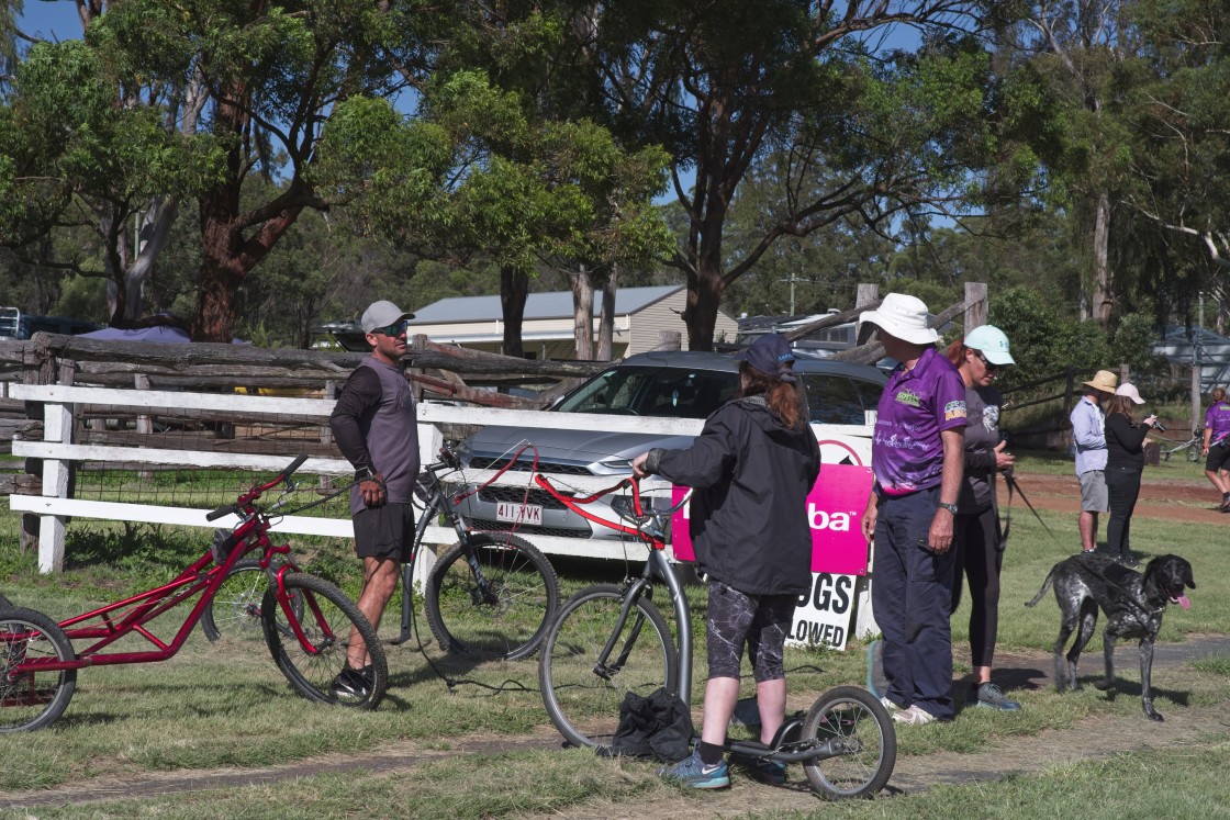 "Sled Dog Racing Qld Expo Day" stock image