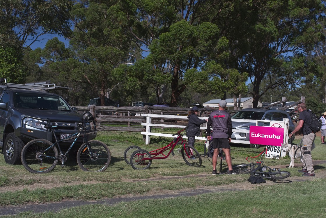 "Sled Dog Racing Qld Expo Day" stock image