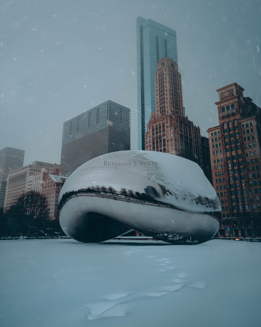 "A Snowy Bean" stock image