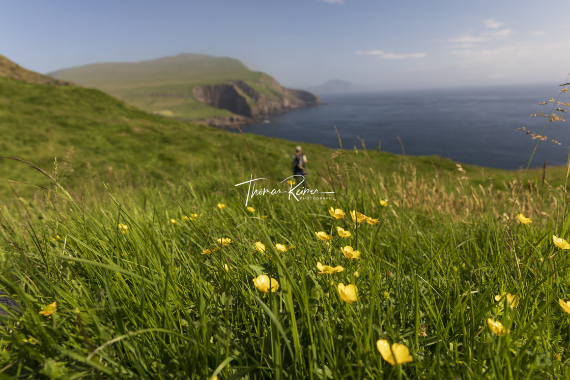 "Hiking in grasslands, with yellow wildflowers in front" stock image