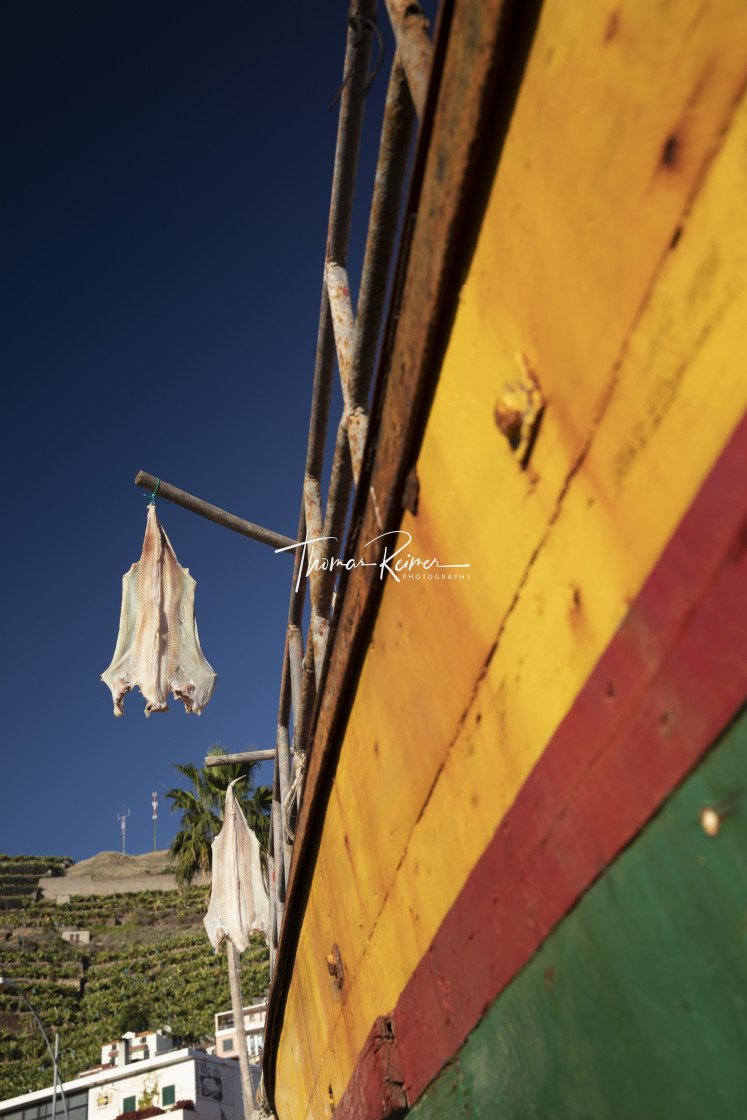 "Fish drying in the sun from the boat" by Thomas Reimer - $12.70 "Fish drying in the sun from the boat" stock image