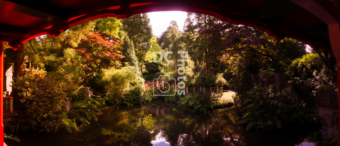 "Biddulph Grange Garden Panorama" stock image